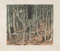 Deer , 1982-83