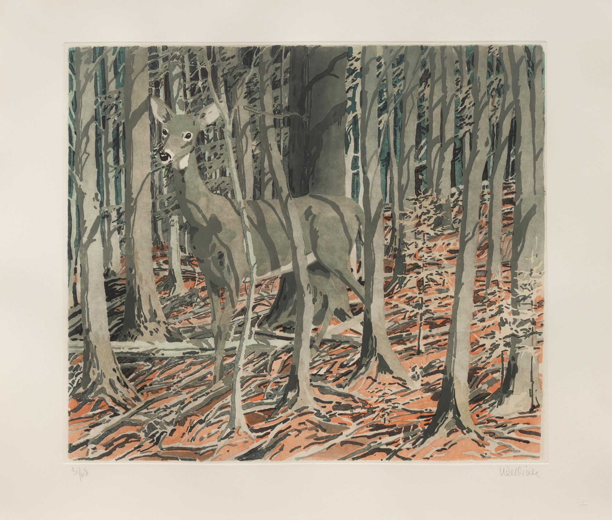 Deer , 1982-83