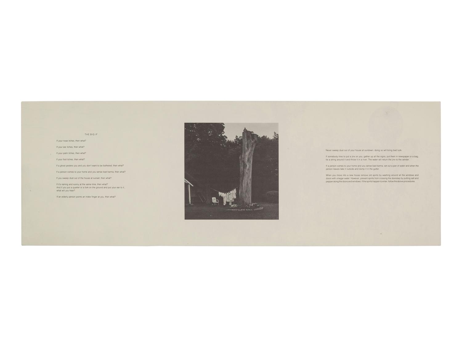 [AFRICAN AMERICANA - FINE ART]. WEEMS, Carrie Mae (b. 1953). Then What? Photographs and Folklore . [New York: CEPA Gallery, 1990].