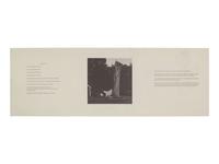 [AFRICAN AMERICANA - FINE ART]. WEEMS, Carrie Mae (b. 1953). Then What? Photographs and Folklore . [New York: CEPA Gallery, 1990].