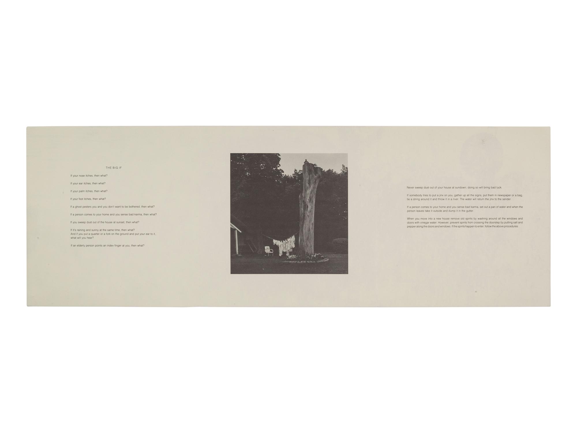 [AFRICAN AMERICANA - FINE ART]. WEEMS, Carrie Mae (b. 1953). Then What? Photographs and Folklore . [New York: CEPA Gallery, 1990].