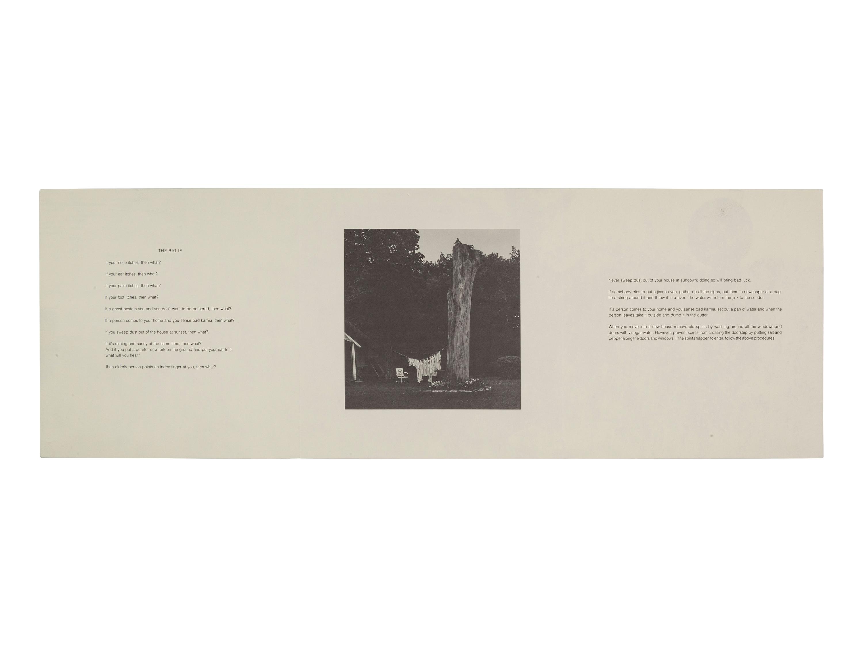 [AFRICAN AMERICANA - FINE ART]. WEEMS, Carrie Mae (b. 1953). Then What? Photographs and Folklore . [New York: CEPA Gallery, 1990].