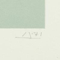 White Embossing on Gray: I-X (complete series)