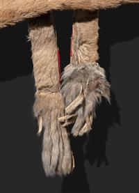 Comanche Mountain Lion Bowcase and Quiver