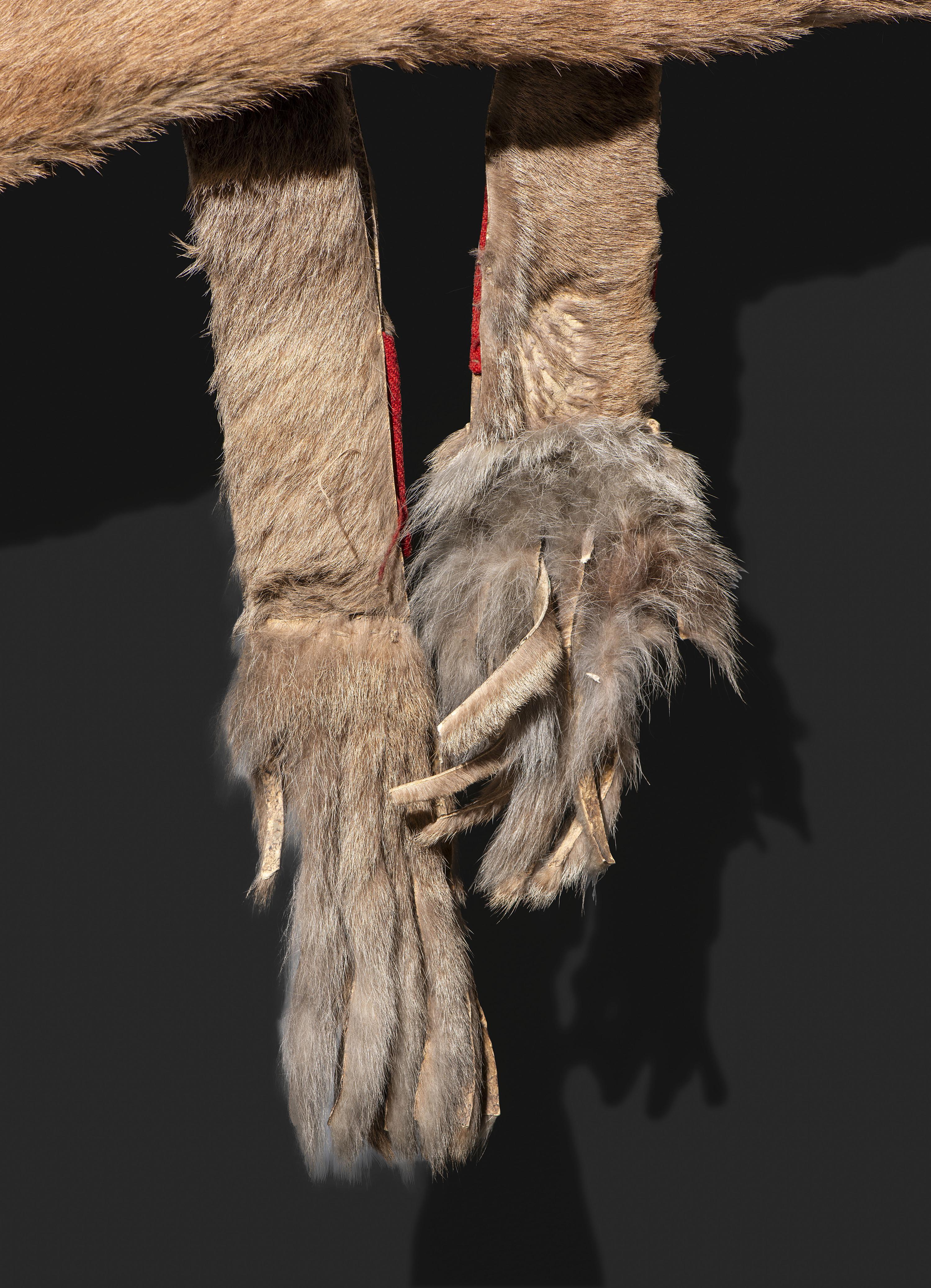 Comanche Mountain Lion Bowcase and Quiver