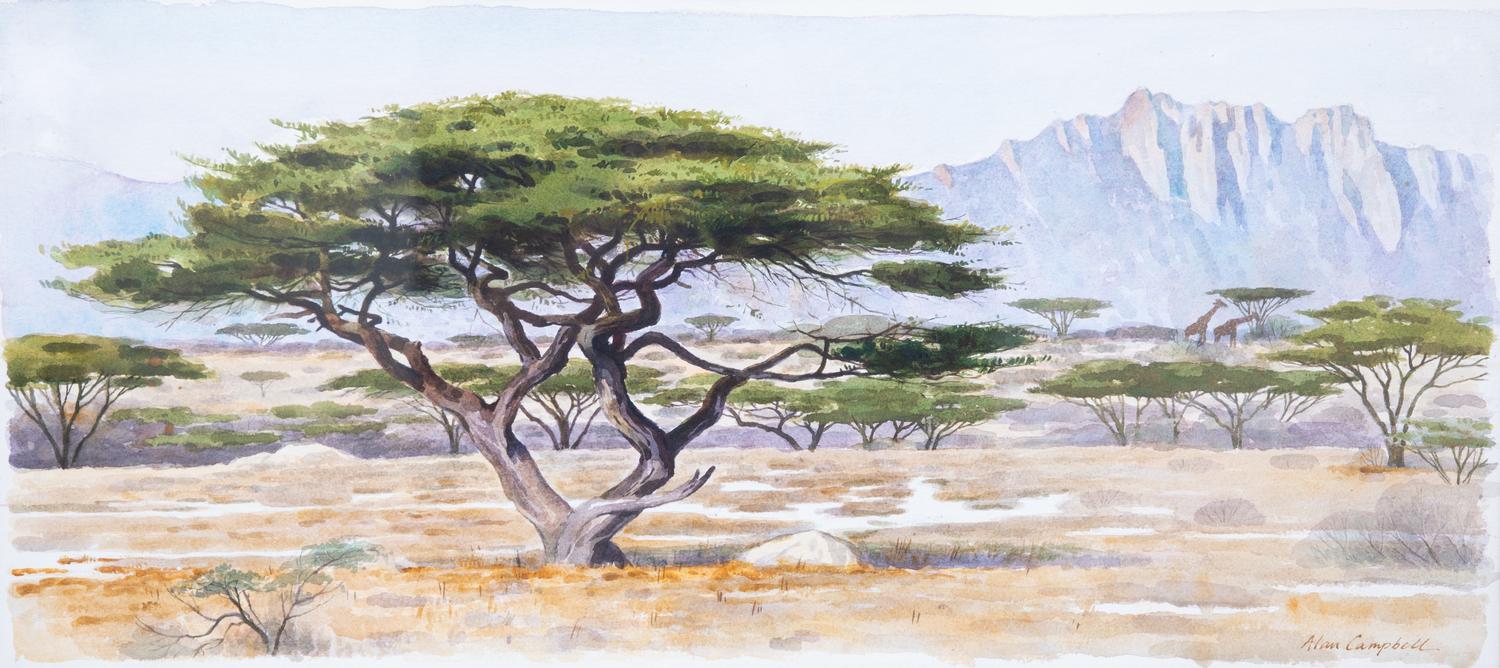 Alan Campbell, (American, b. 1950), Untitled (African Plains)
