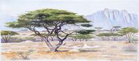 Alan Campbell, (American, b. 1950), Untitled (African Plains)