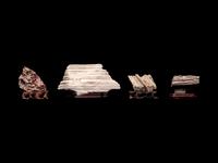 Four Chinese Scholar's Rocks