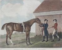 George STUBBS, after - George Townley STUBBS, engraver Image 8 x 11 inches. — Eclipse