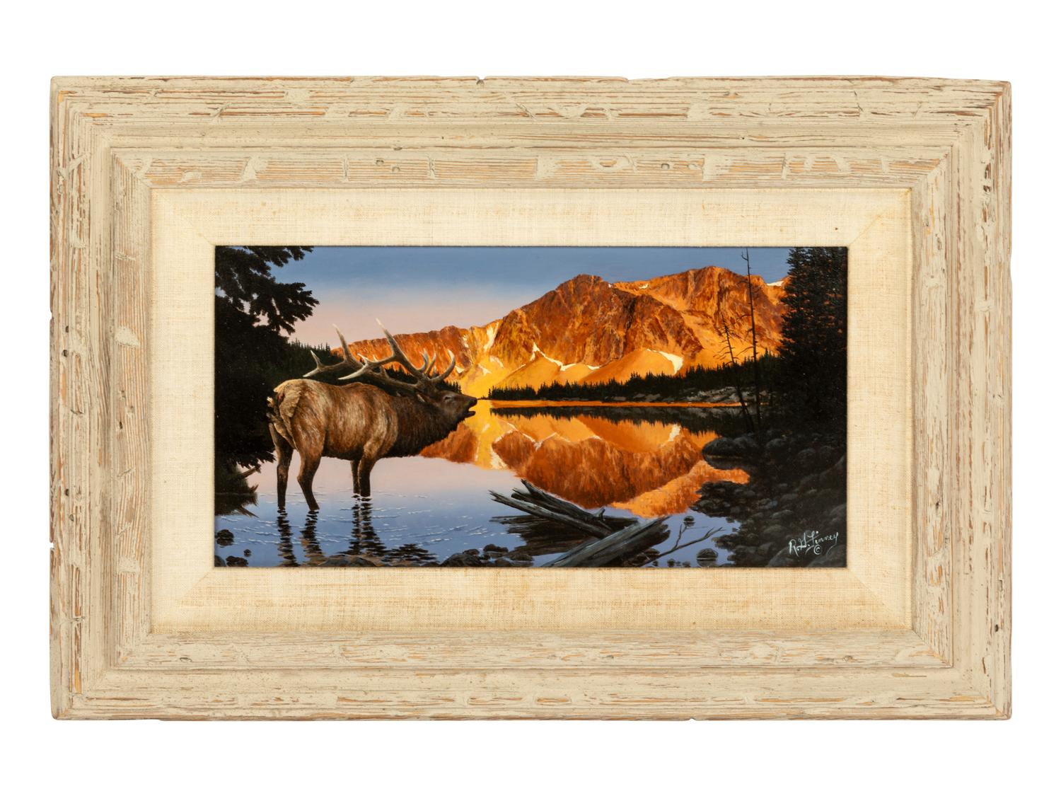 Elk on the Medicine Bow