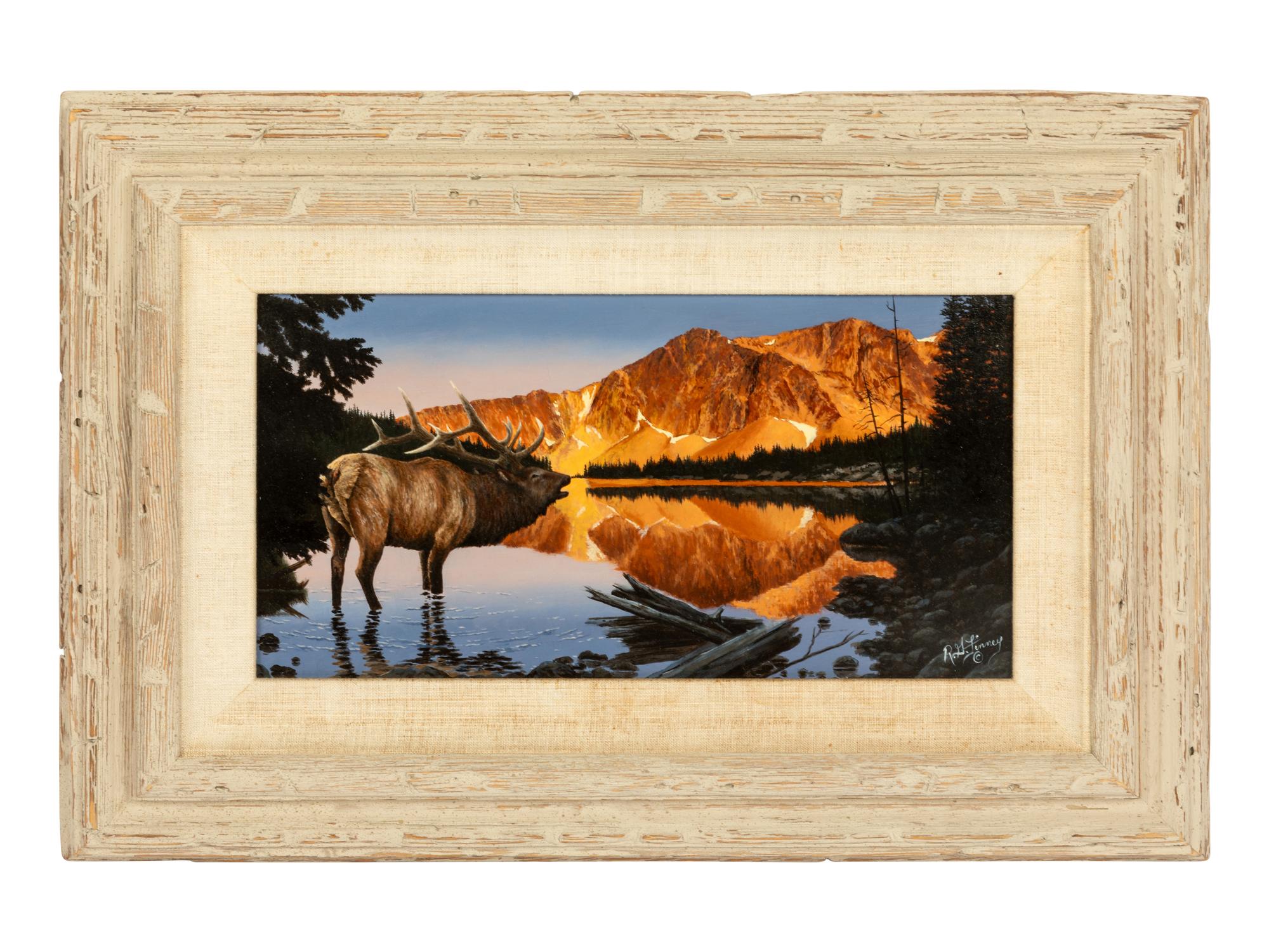 Elk on the Medicine Bow