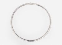 An Omega Necklace with Two Charms and A Diamond Ring