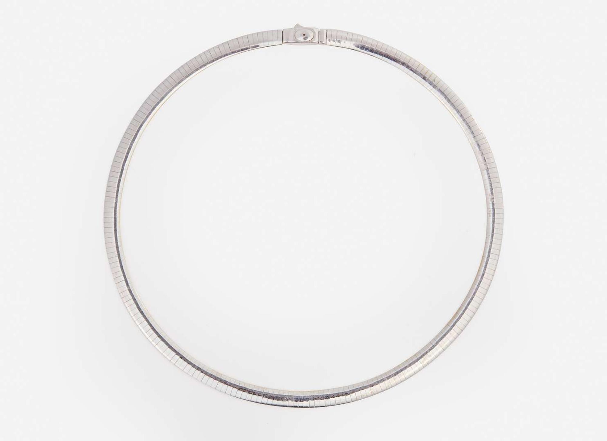 An Omega Necklace with Two Charms and A Diamond Ring