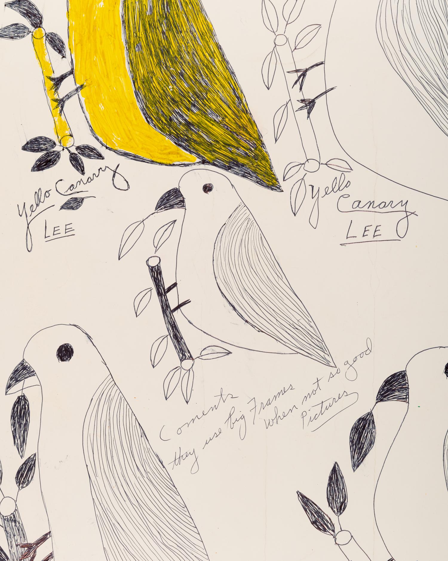 John John and Yellow Canary