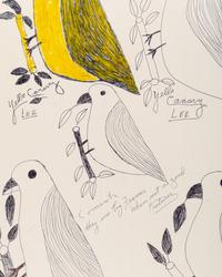 John John and Yellow Canary