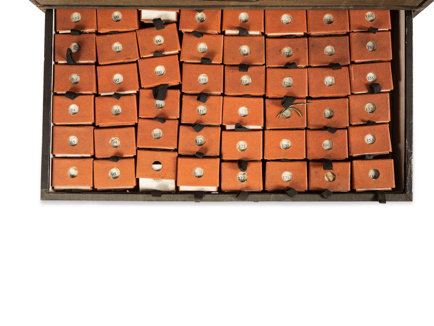 An Eli Lilly's 'Collection of Crude Drugs' Cabinet