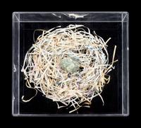 Untitled (Nest Egg)