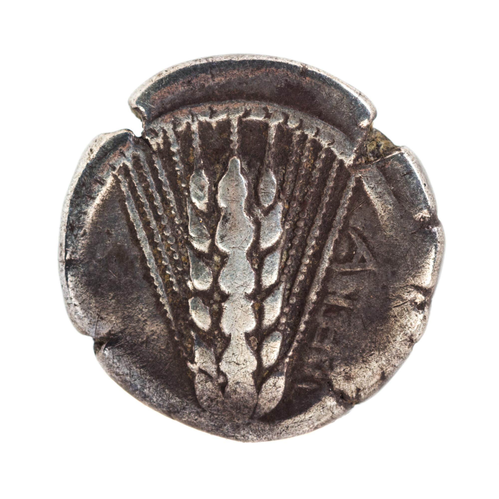 Lucania, Metapontum (circa 480 BCE), Silver Stater — Silver Stater