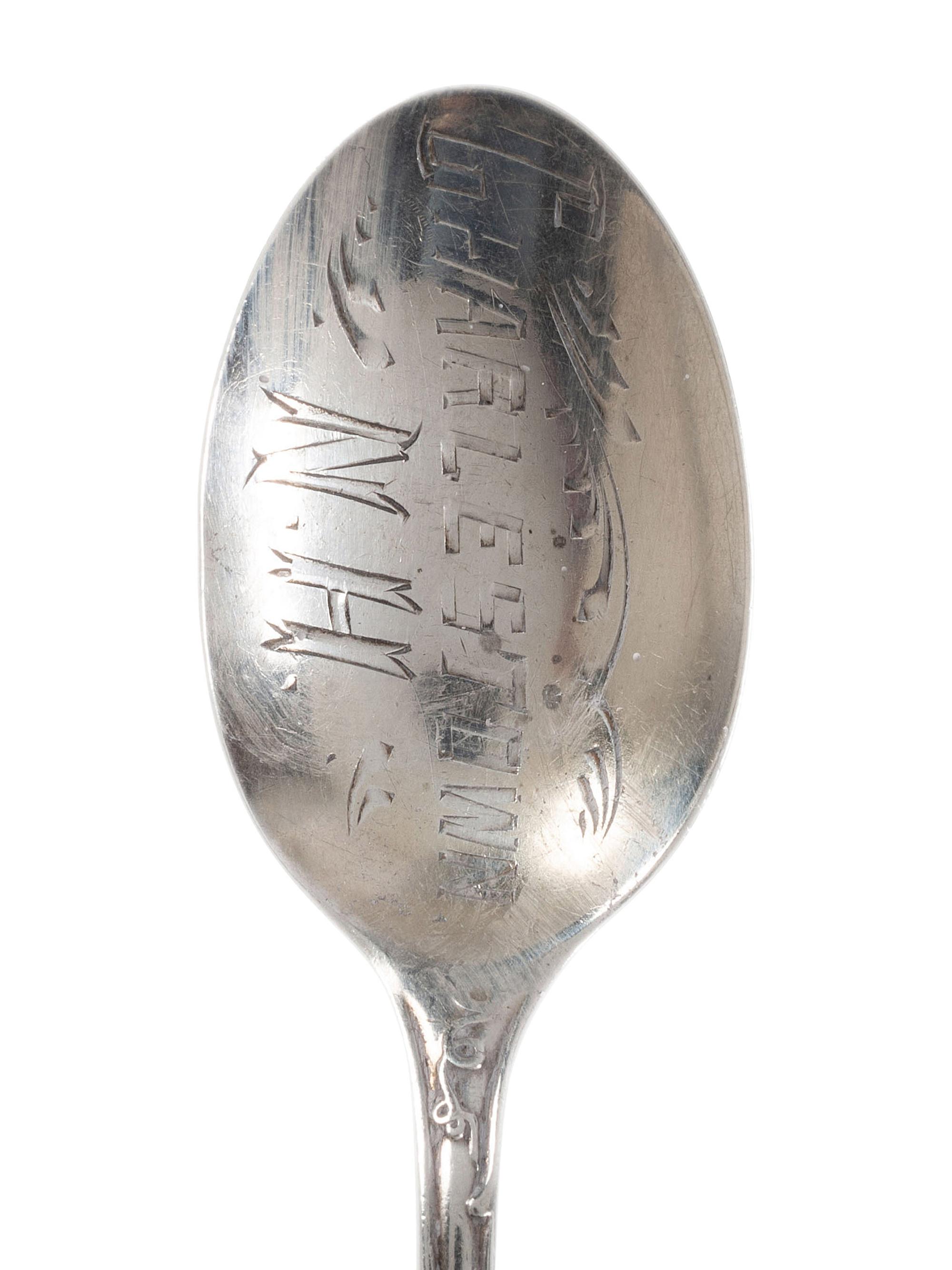 Twenty Silver and Enamel Souvenir Spoons