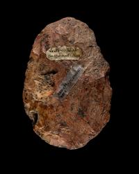 Four Paleolithic Flint Hand Axes