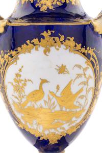 A Sèvres Porcelain Vase