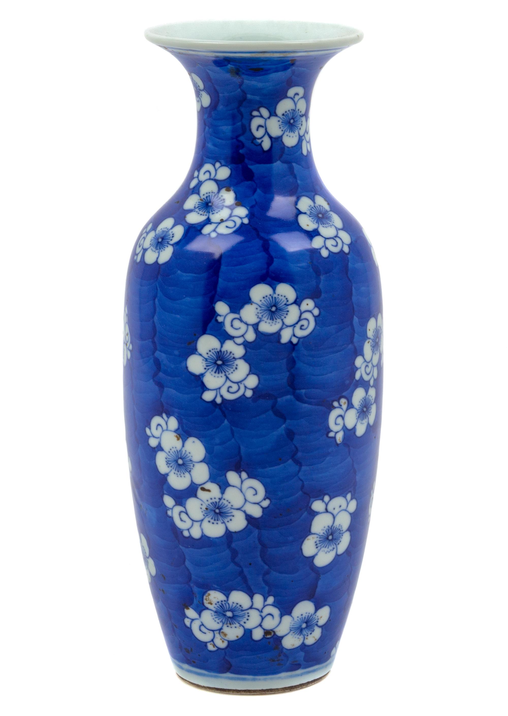 A Chinese Blue and White Porcelain Ice Crackle and Prunus Vase