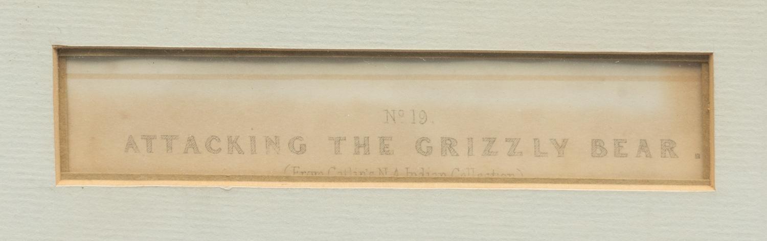 CATLIN, George (1796-1872), after Attacking the Grizzly Bear (Plate 19)