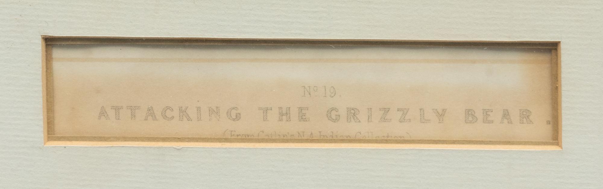 CATLIN, George (1796-1872), after Attacking the Grizzly Bear (Plate 19)