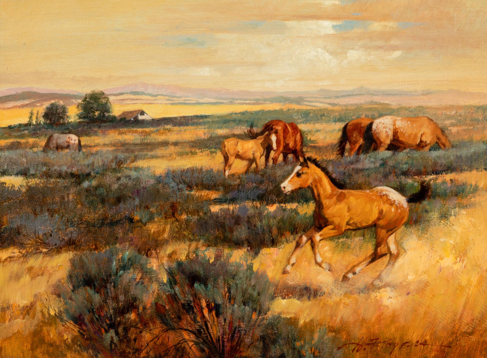 Colts in Pasture