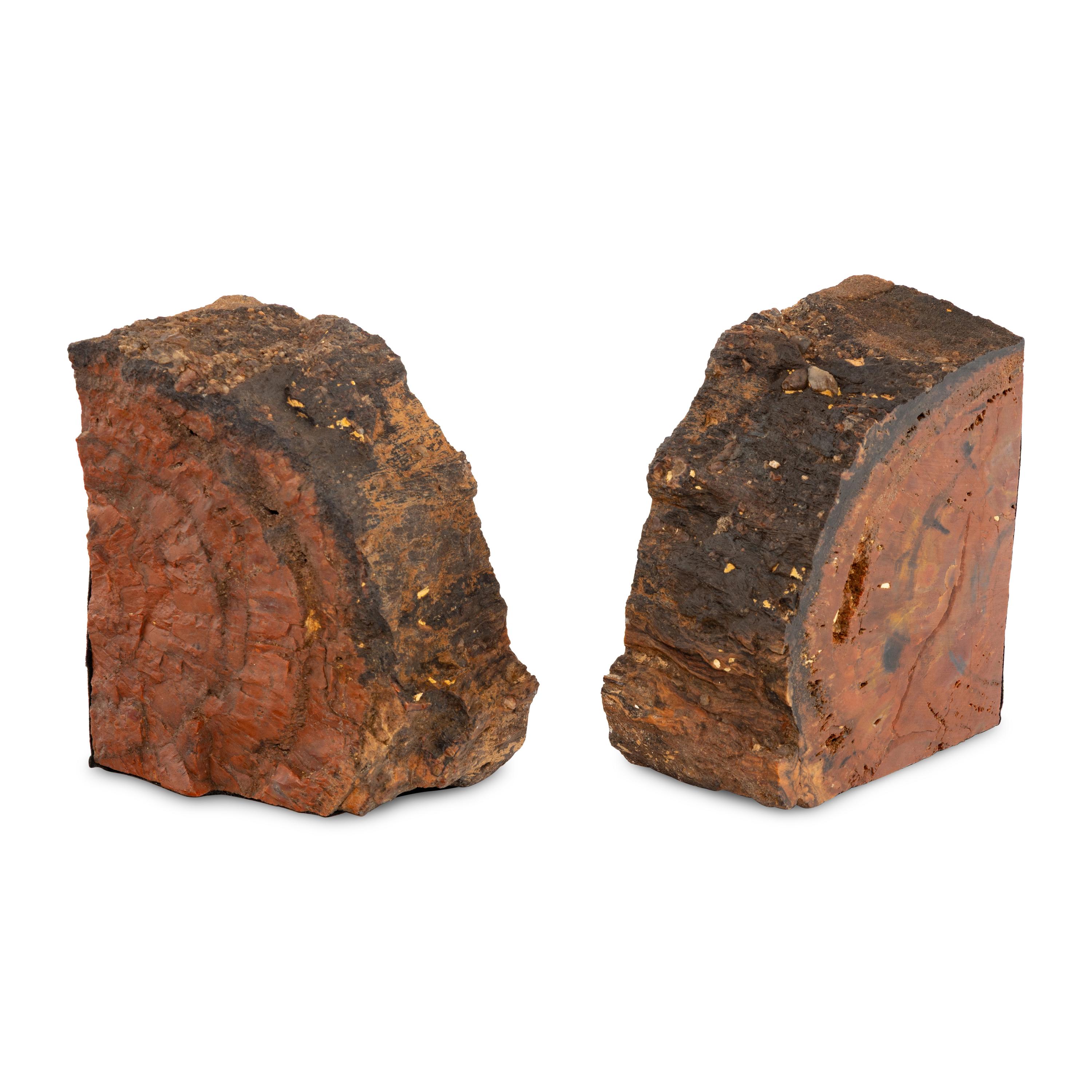 A Pair of Petrified Wood Bookends