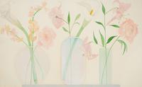 Untitled (Tulips)