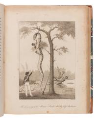 [Travel & Exploration]. Stedman, John Gabriel (1744-1797). Narrative, of a five years' expedition against the revolted Negroes of Surinam in Guiana on the wild coast of South America; from the year 1772, to 1777 . London: for J. Johnson, 1806.