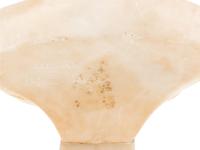 An Italian Alabaster Bust