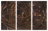 Aaron Young, (American, b. 1972), Burnout (Locals! Beware), 2007 (triptych)
