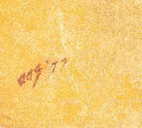 Study in Gold III [Portrait of Cecily Langdale] , 1977
