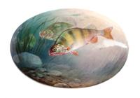 An English Porcelain Plaque, Paragon Width 6 1/2 inches.