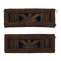 Rare Combination Captain's Bars and Colonel's Eagles Pin Back Shoulder Straps on a Blue Field