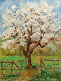 Au printemps, pommier en fleurs