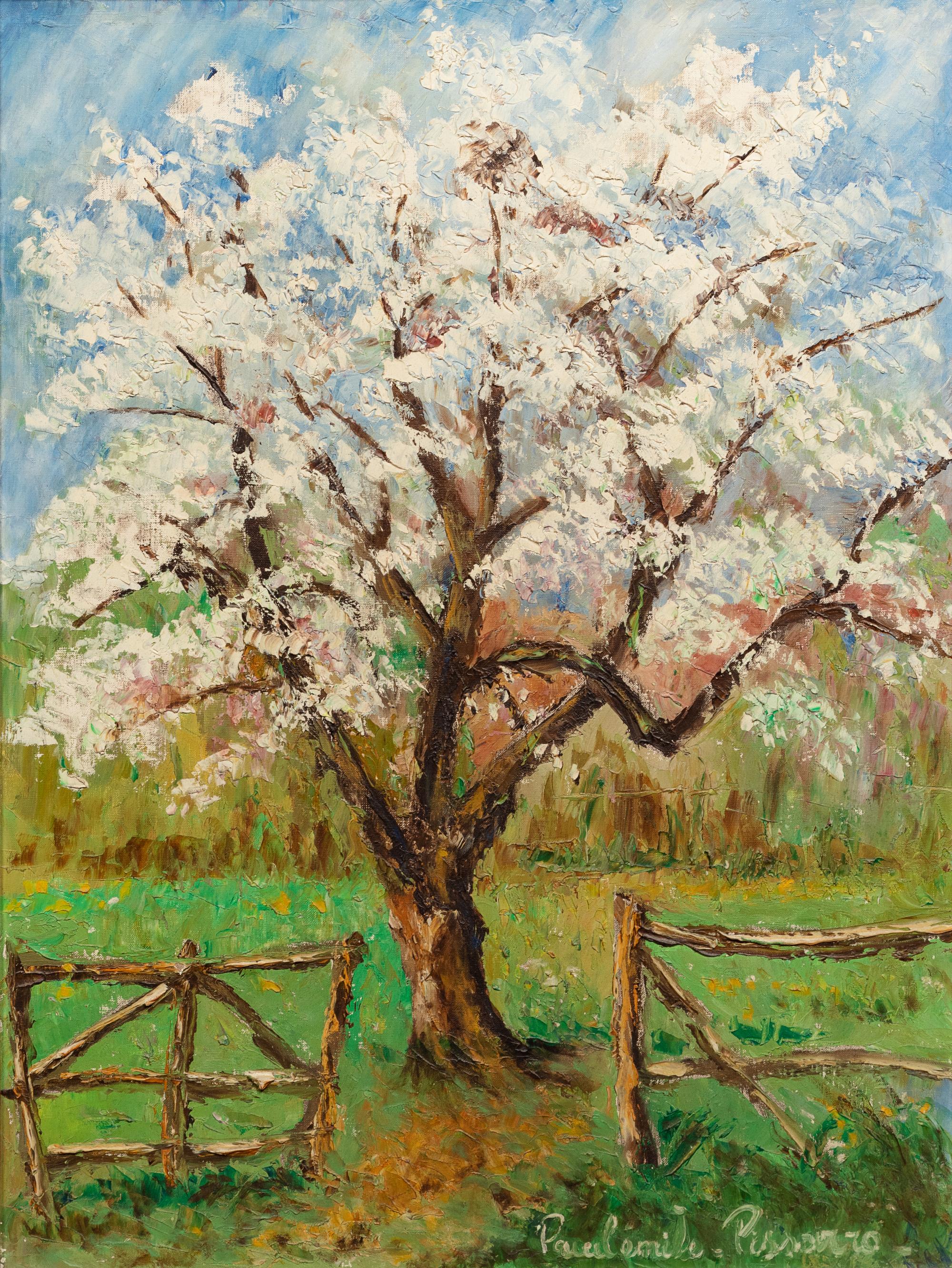 Au printemps, pommier en fleurs