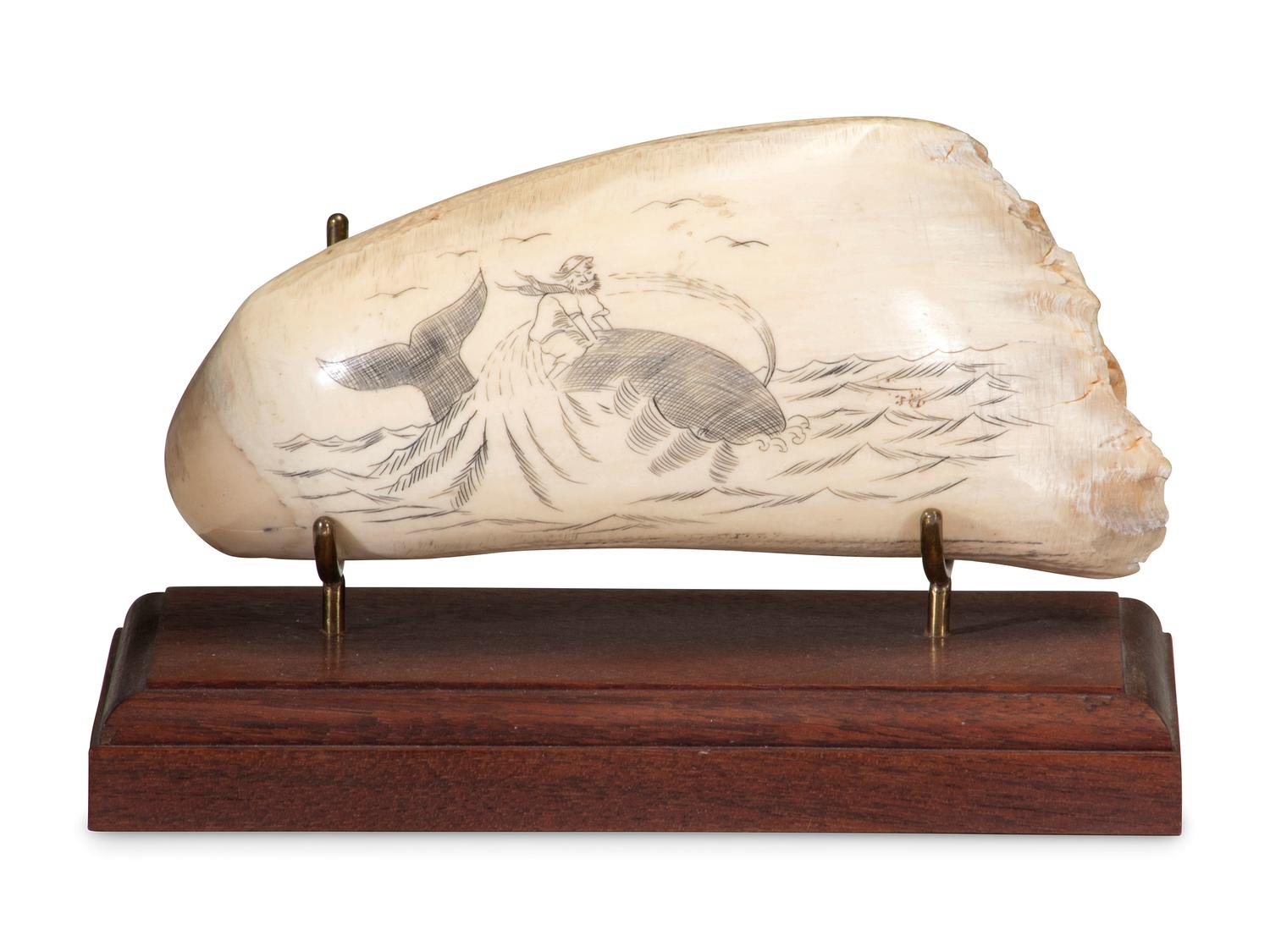 Three Scrimshaw Whale's Teeth