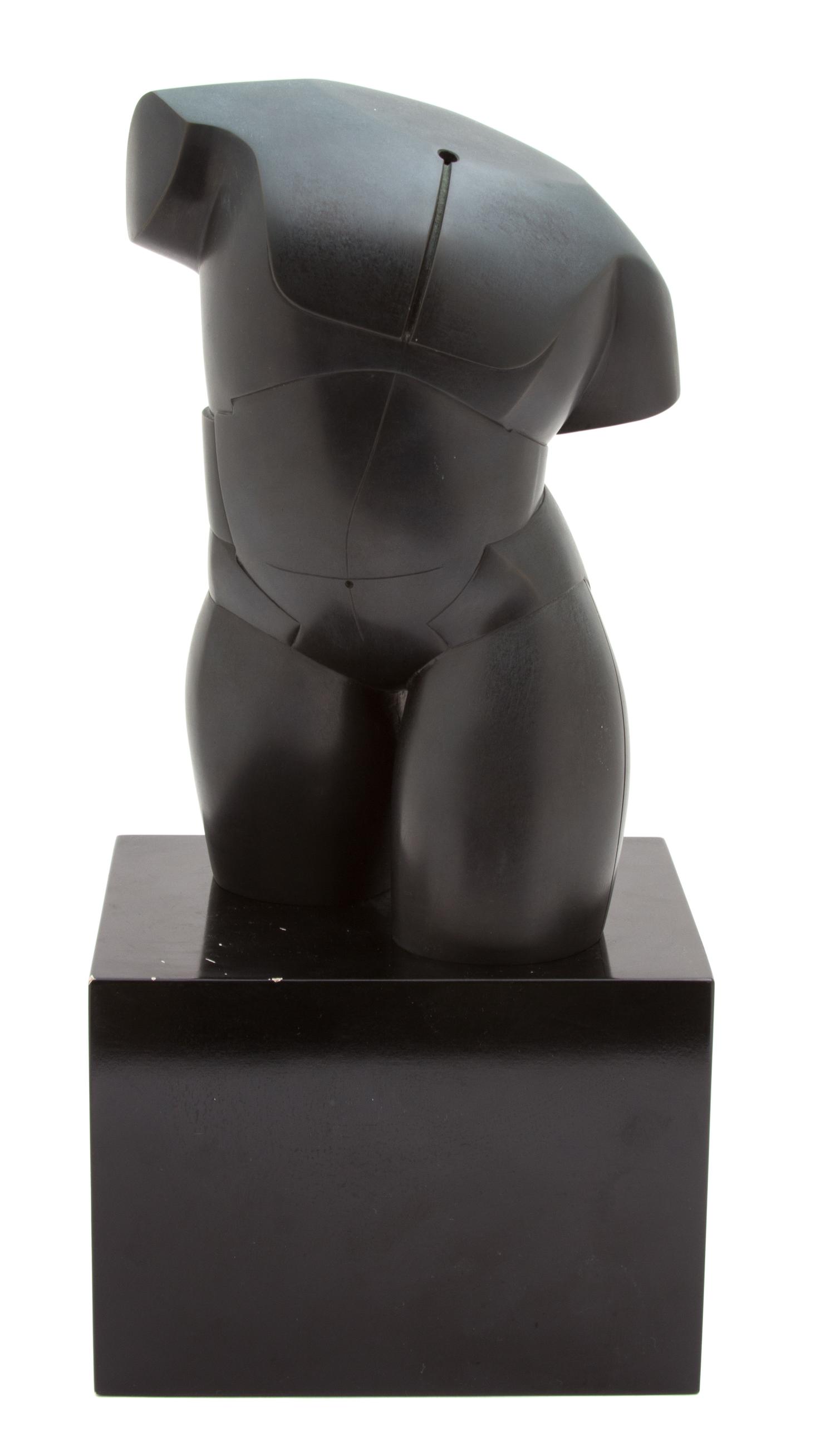 Howard Hancock Newman, (American, b. 1943), Untitled (Male Torso), 1982