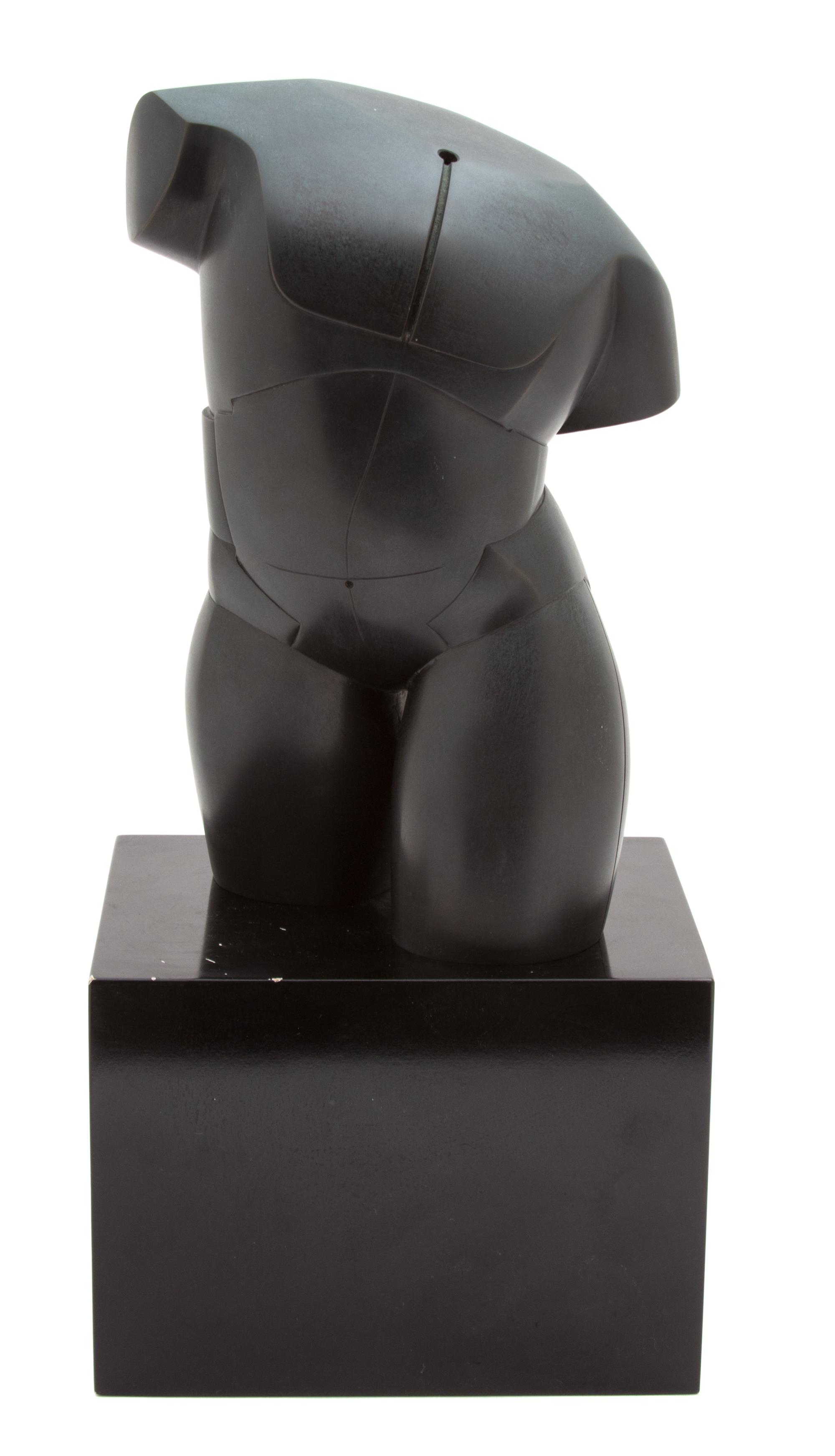 Howard Hancock Newman, (American, b. 1943), Untitled (Male Torso), 1982
