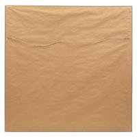 Untitled (Diptych)