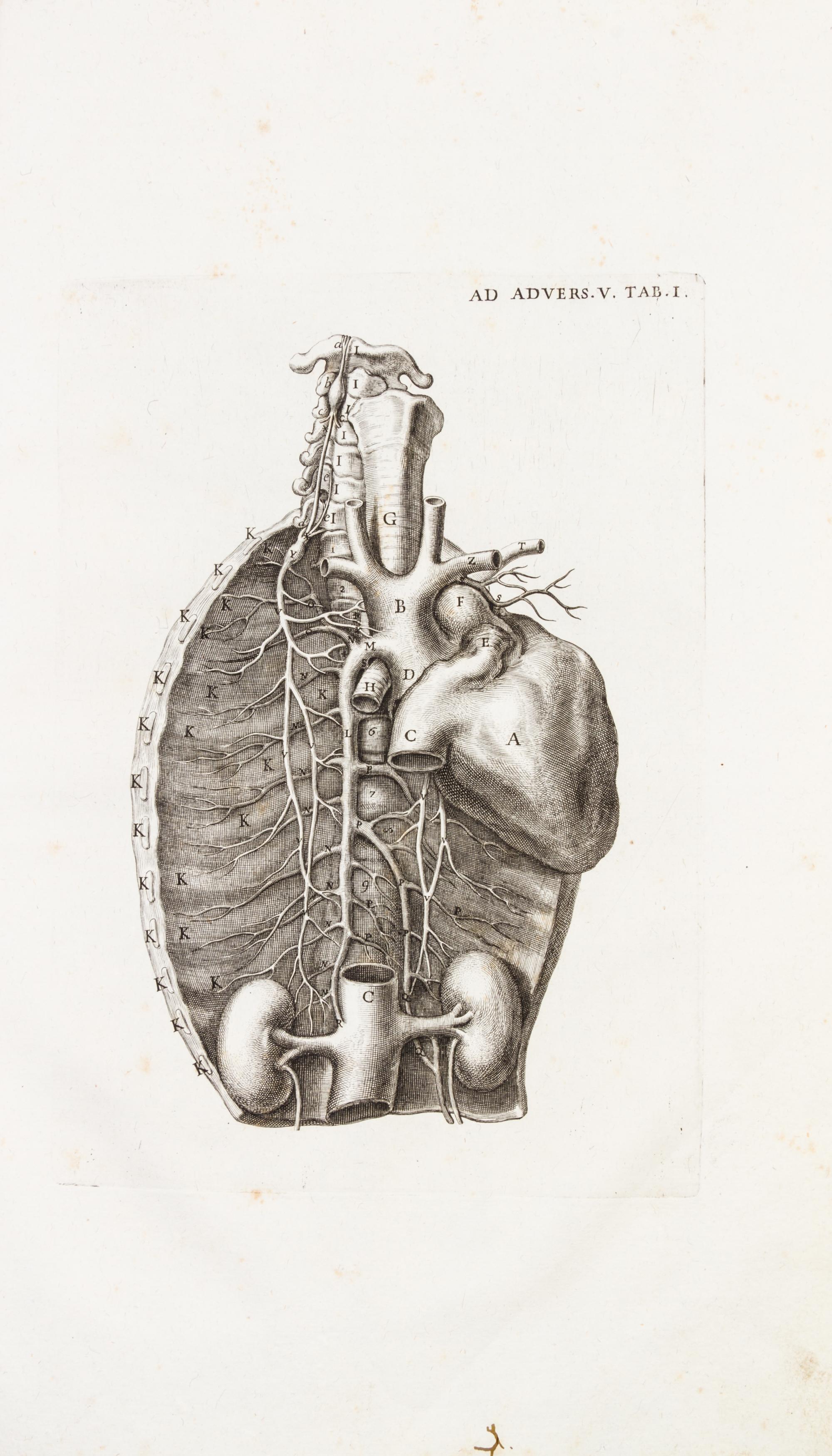 (ANATOMY) MORGAGNI, GIOVANNI BATTISTA. Adversaria anatomica omnia... Venice, 1762. Six parts in one, bound with Epistolae...