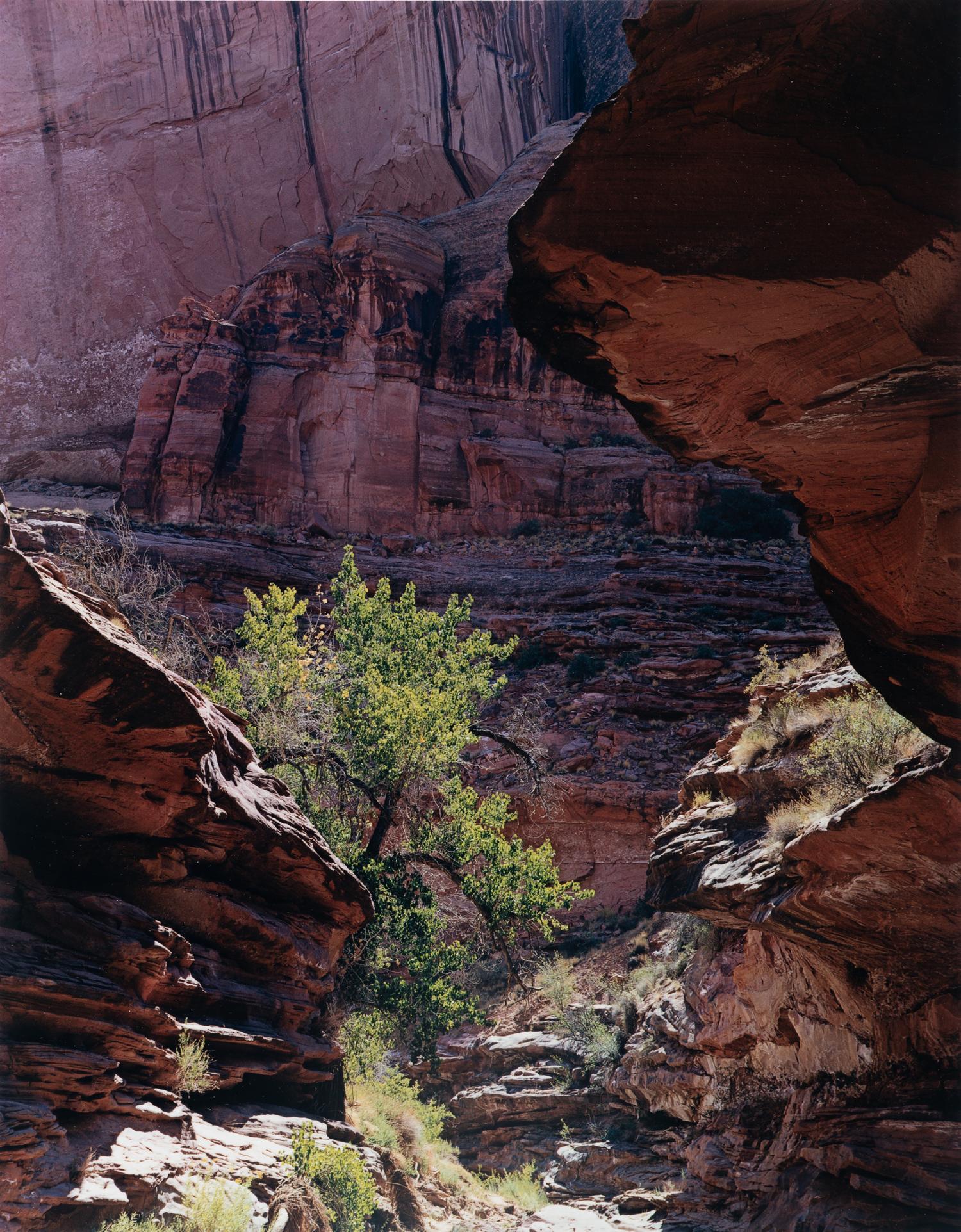 Glen Canyon (complete portfolio of ten photographs with original cloth case)