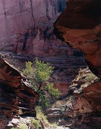 Glen Canyon (complete portfolio of ten photographs with original cloth case)