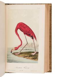 Audubon, John James. The Birds of America from Drawings Made in the United States and Their Territories .
