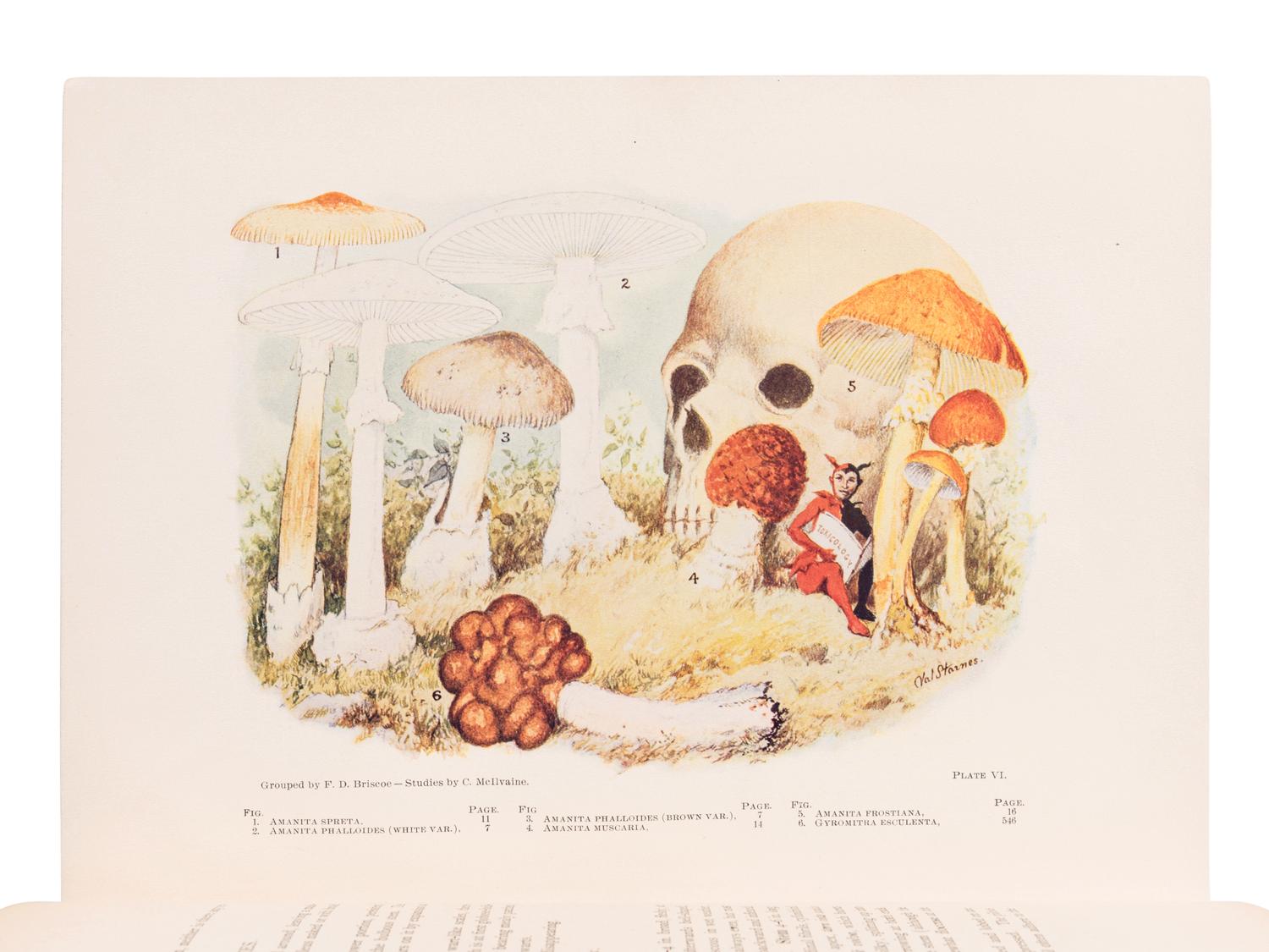 MCILVAINE, Charles (1840-1909). One Thousand American Fungi, How to Select and Cook the Edible; How to Distinguish and Avoid the Poisonous. Indianapolis: The Bowen-Merrill Company, 1900.