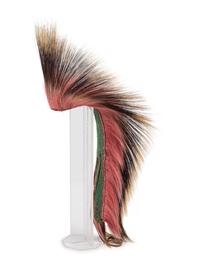 Plains Hair Roach