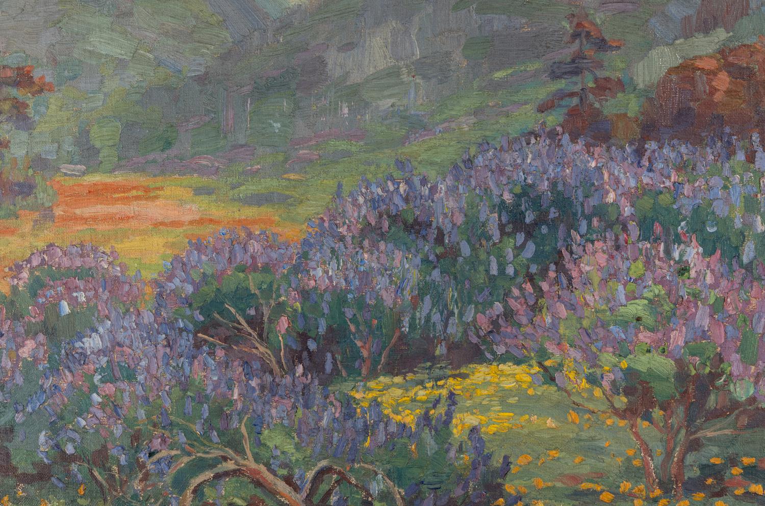 Purple and Gold Hills